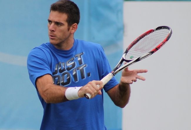 Del Potro se odhlásil z Australian Open